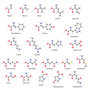 complex-synthesis-in-action
