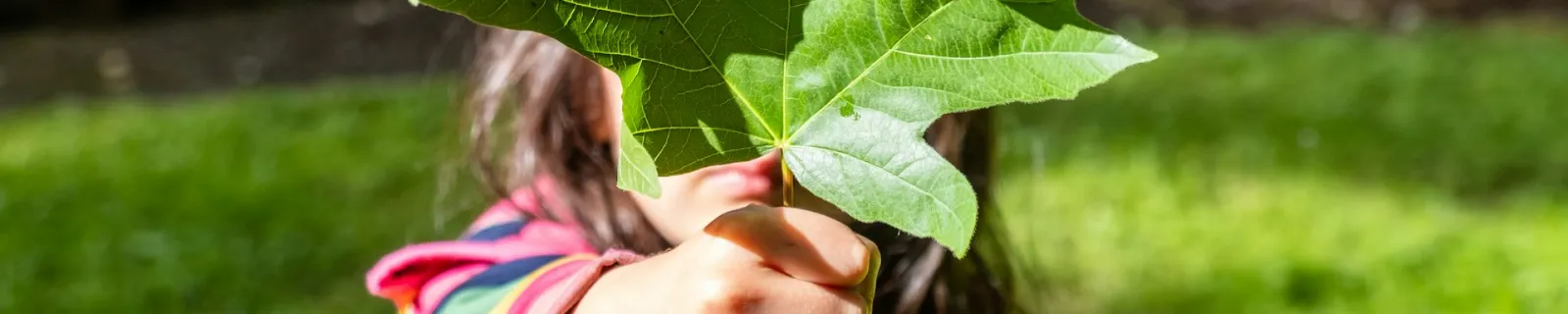 Sustainability Framework