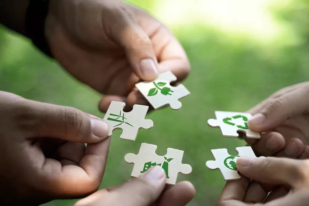Sustainable Businesses