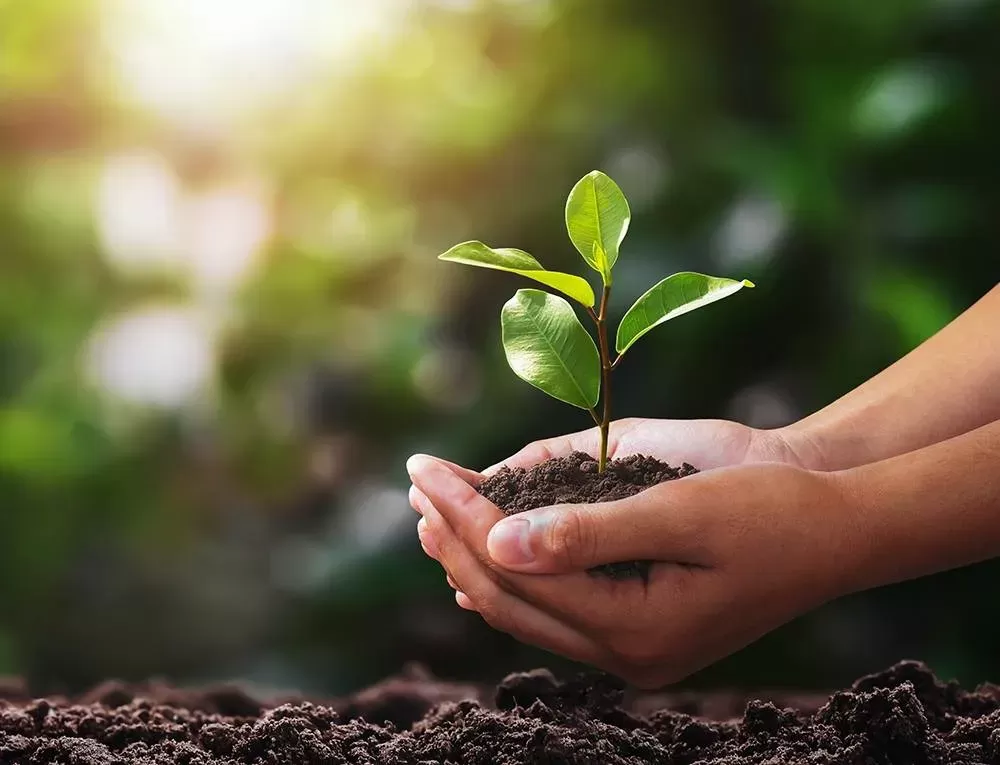 Sustainability